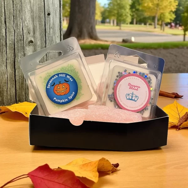 October Spooktacular Wax Melt Coffin Duo